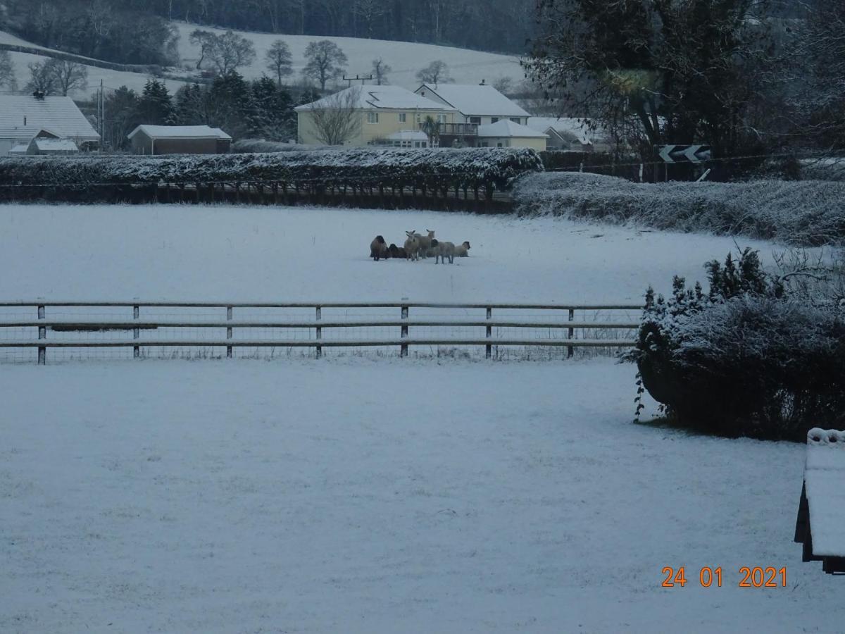 Red Kite Barn Βίλα Ammanford Εξωτερικό φωτογραφία