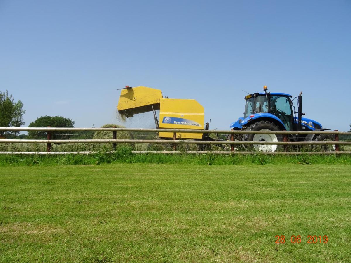 Red Kite Barn Βίλα Ammanford Εξωτερικό φωτογραφία