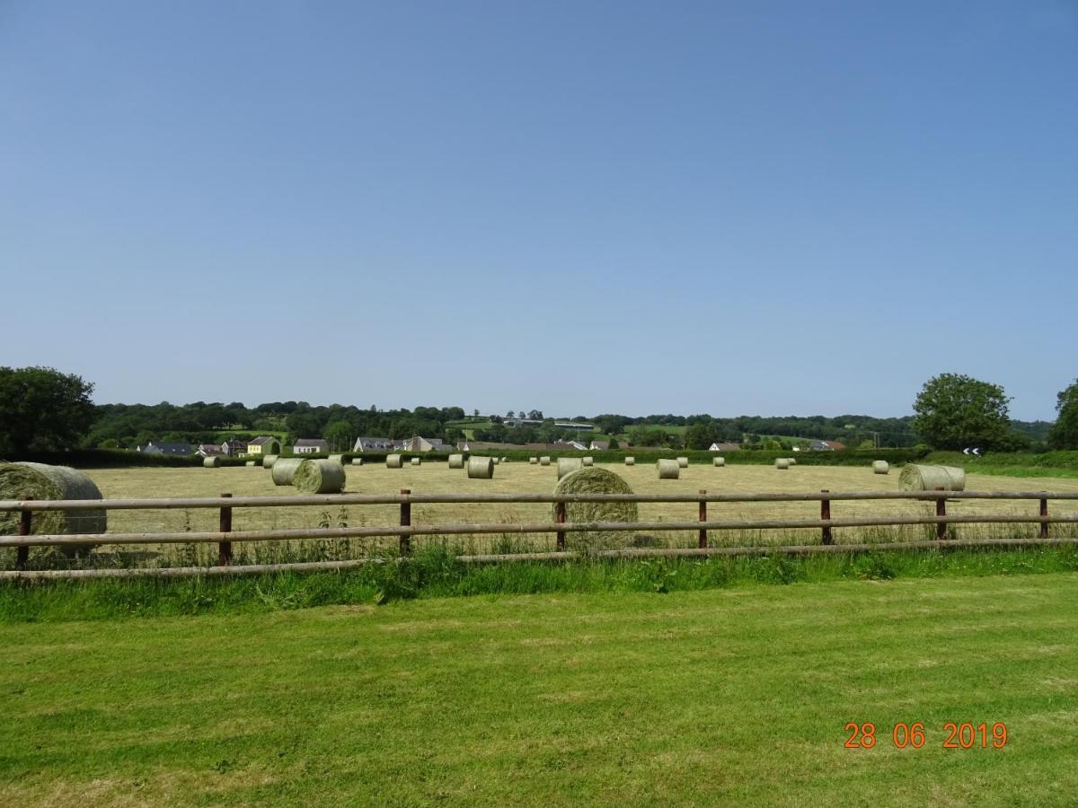 Red Kite Barn Βίλα Ammanford Εξωτερικό φωτογραφία
